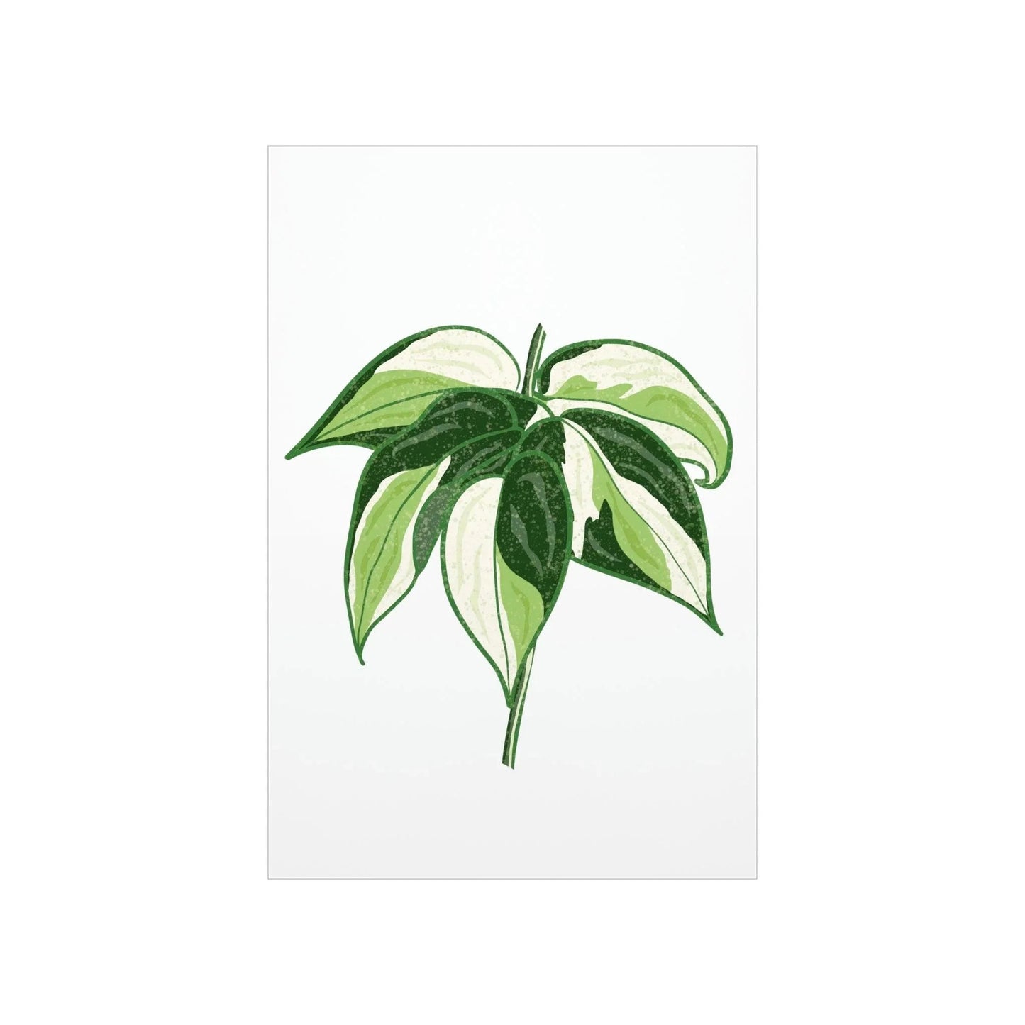 Philodendron Cream Splash Botanical Print – Unframed Wall Art