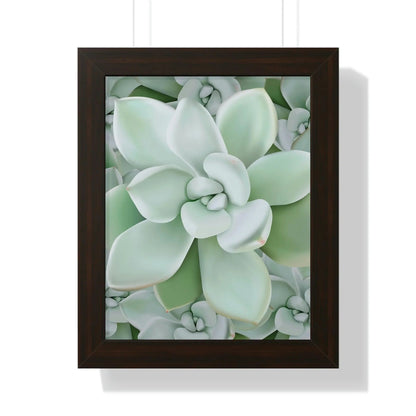 Pachyveria Haagei Succulent Pattern Framed Print – Botanical Wall Art