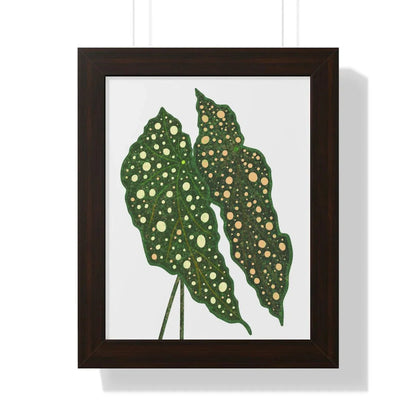 Begonia Maculata Framed Print – Botanical Wall Art