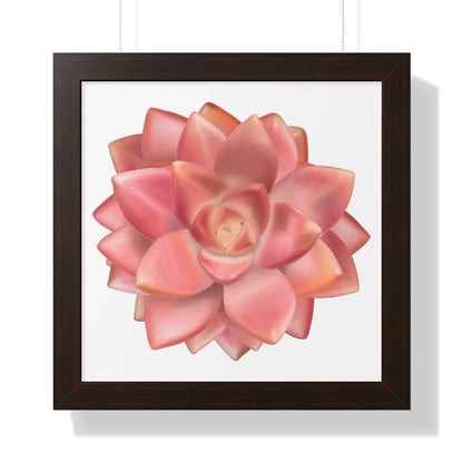 Graptosedum California Sunset Succulent Framed Print – Botanical Wall Art