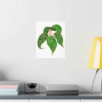 Aglaonema Sparkling Sarah Botanical Print – Unframed Wall Art