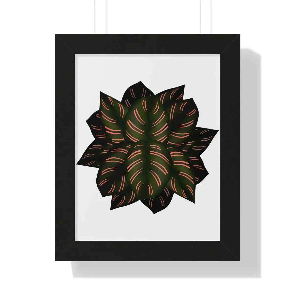 Calathea Pinstripe Framed Print – Botanical Wall Art