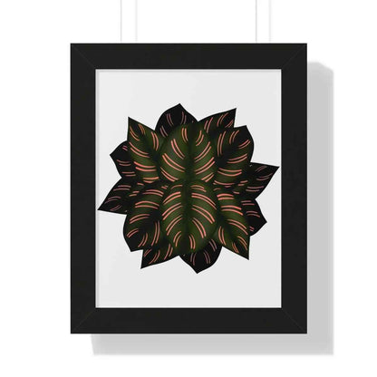 Calathea Pinstripe Framed Print – Botanical Wall Art
