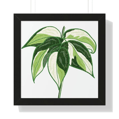 Philodendron Cream Splash Framed Print – Botanical Wall Art