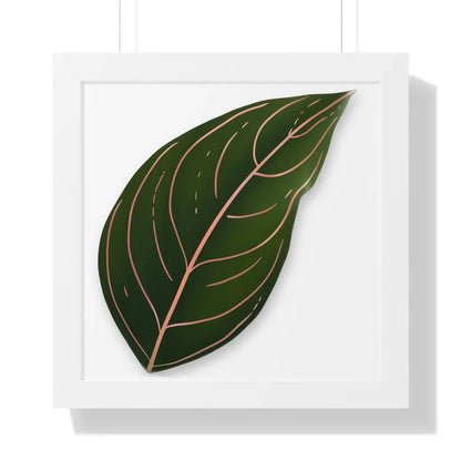 Aglaonema Rotundum Framed Print – Botanical Wall Art