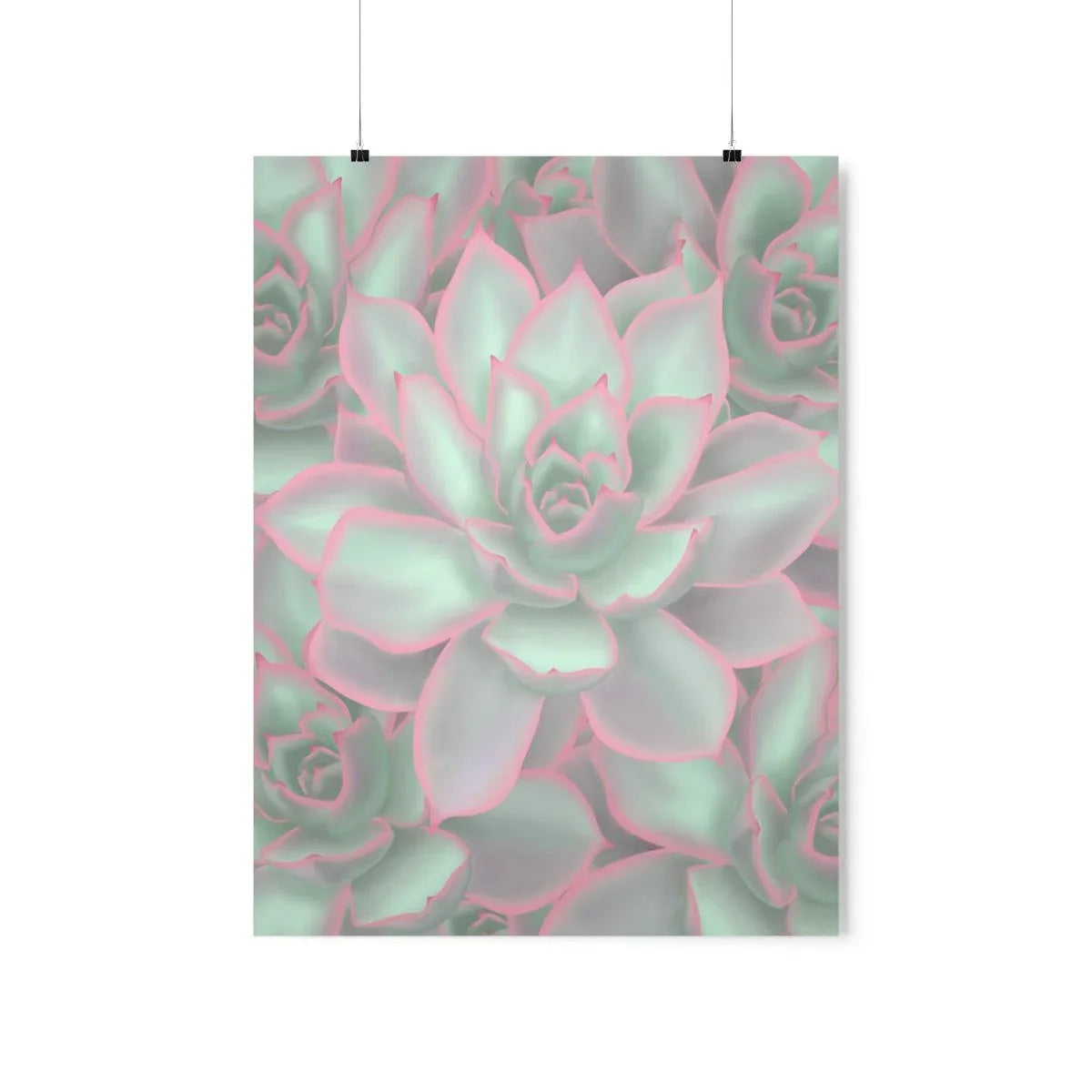 Echeveria Violet Queen Succulent Pattern Botanical Print – Unframed Wall Art