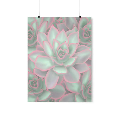 Echeveria Violet Queen Succulent Pattern Botanical Print – Unframed Wall Art