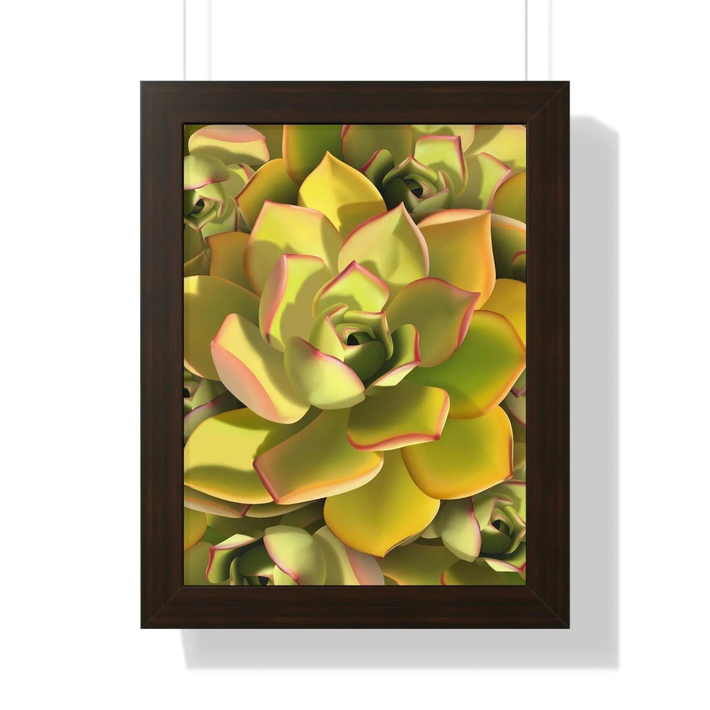 Noble Aeonium Succulent Pattern Framed Print – Botanical Wall Art