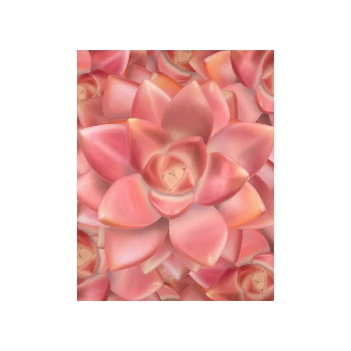 Graptosedum California Sunset Succulent Pattern Botanical Print – Unframed Wall Art