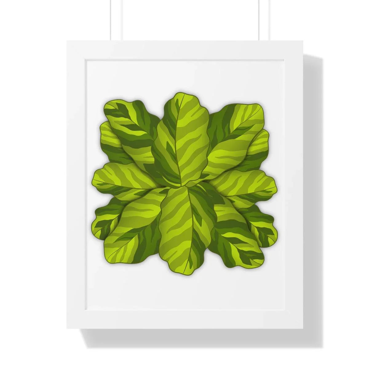Calathea Yellow Fusion Framed Print – Botanical Wall Art