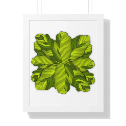 Calathea Yellow Fusion Framed Print – Botanical Wall Art