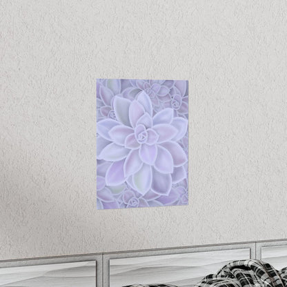 Graptopetalum Murasaki Succulent Pattern Botanical Print – Unframed Wall Art
