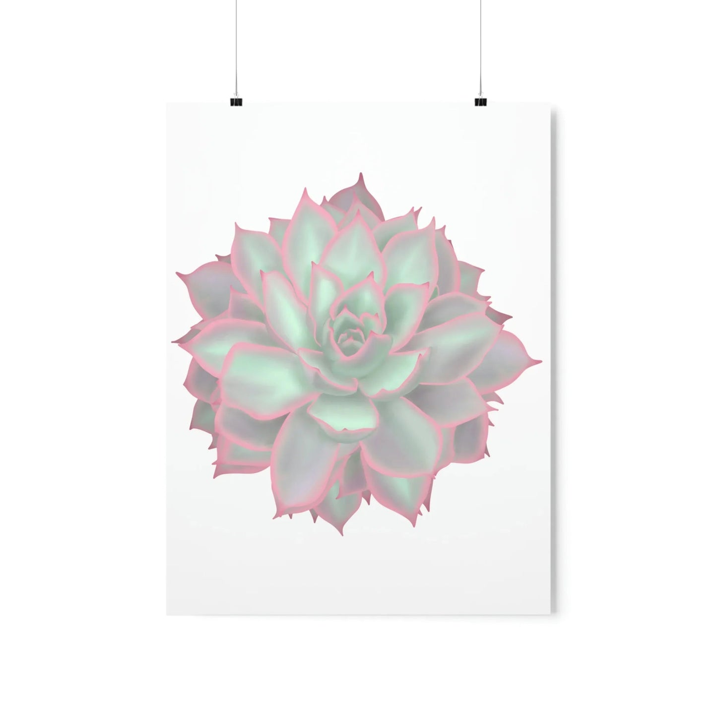 Echeveria Violet Queen Succulent Botanical Print – Unframed Wall Art