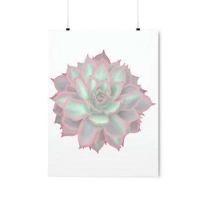 Echeveria Violet Queen Succulent Botanical Print – Unframed Wall Art