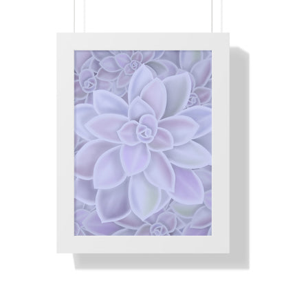 Graptopetalum Murasaki Succulent Pattern Framed Print – Botanical Wall Art