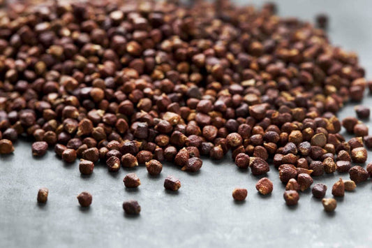 Grains of Paradise