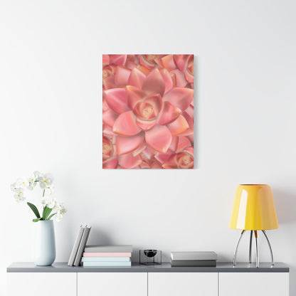 Graptosedum California Sunset Succulent Pattern Canvas Print – Botanical Wall Art