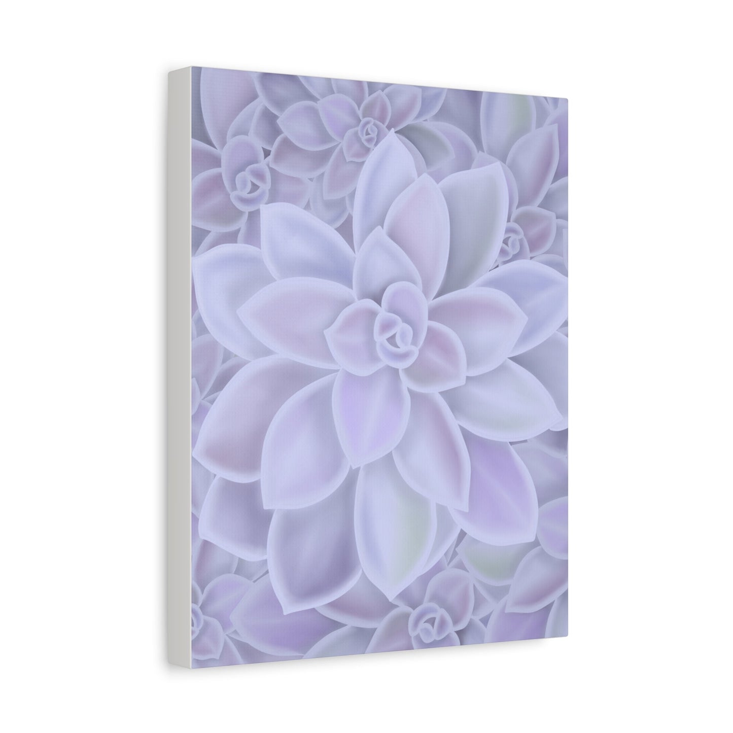 Graptopetalum Murasaki Succulent Pattern Canvas Print – Botanical Wall Art