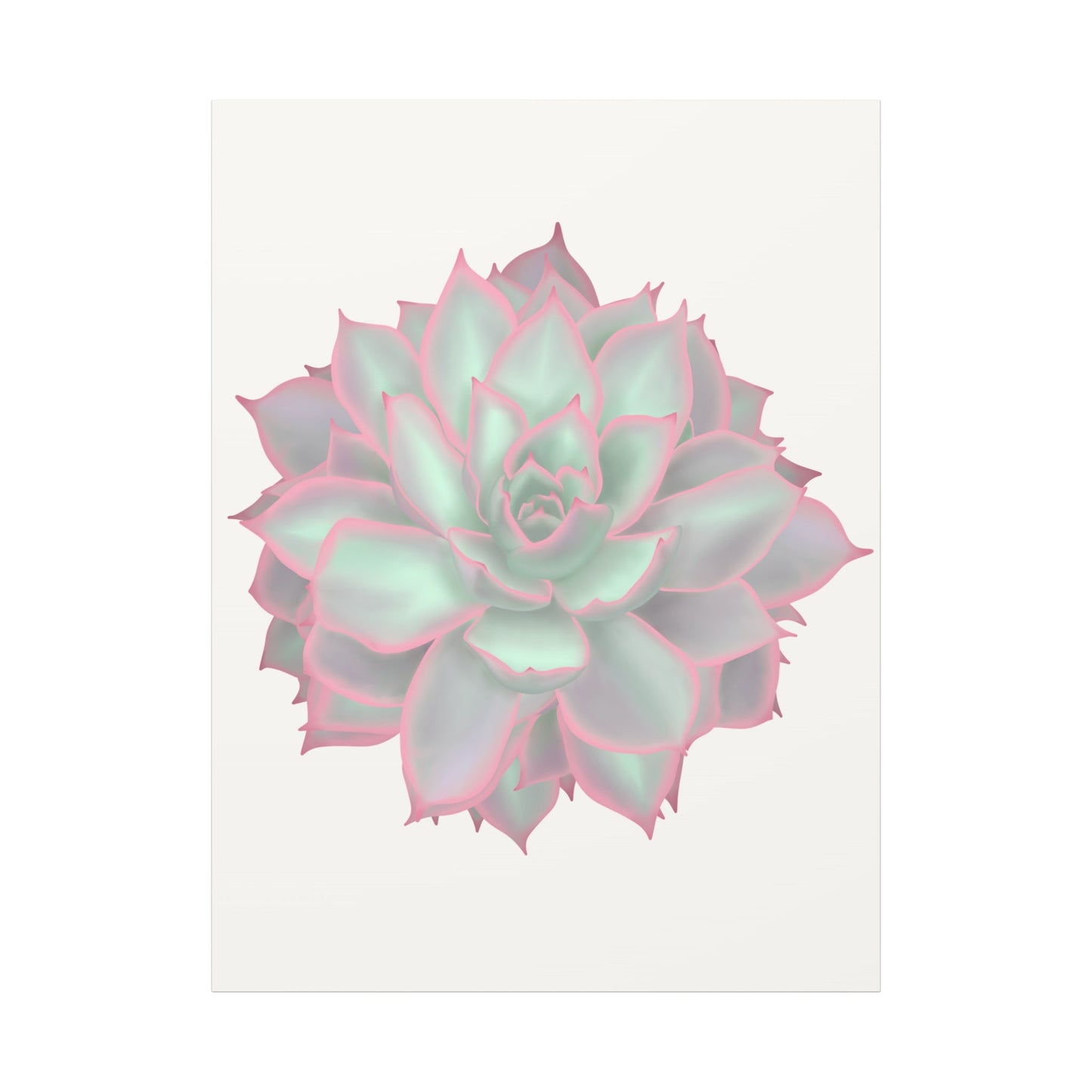 Echeveria Violet Queen Succulent Canvas Print – Botanical Wall Art