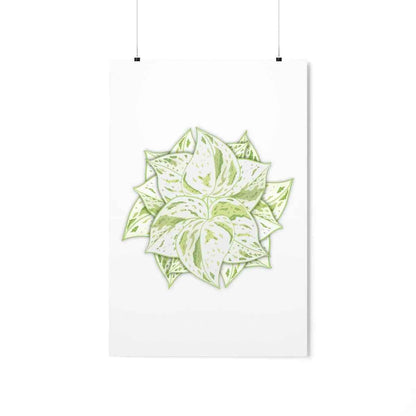Snow Queen Pothos Botanical Print – Unframed Wall Art