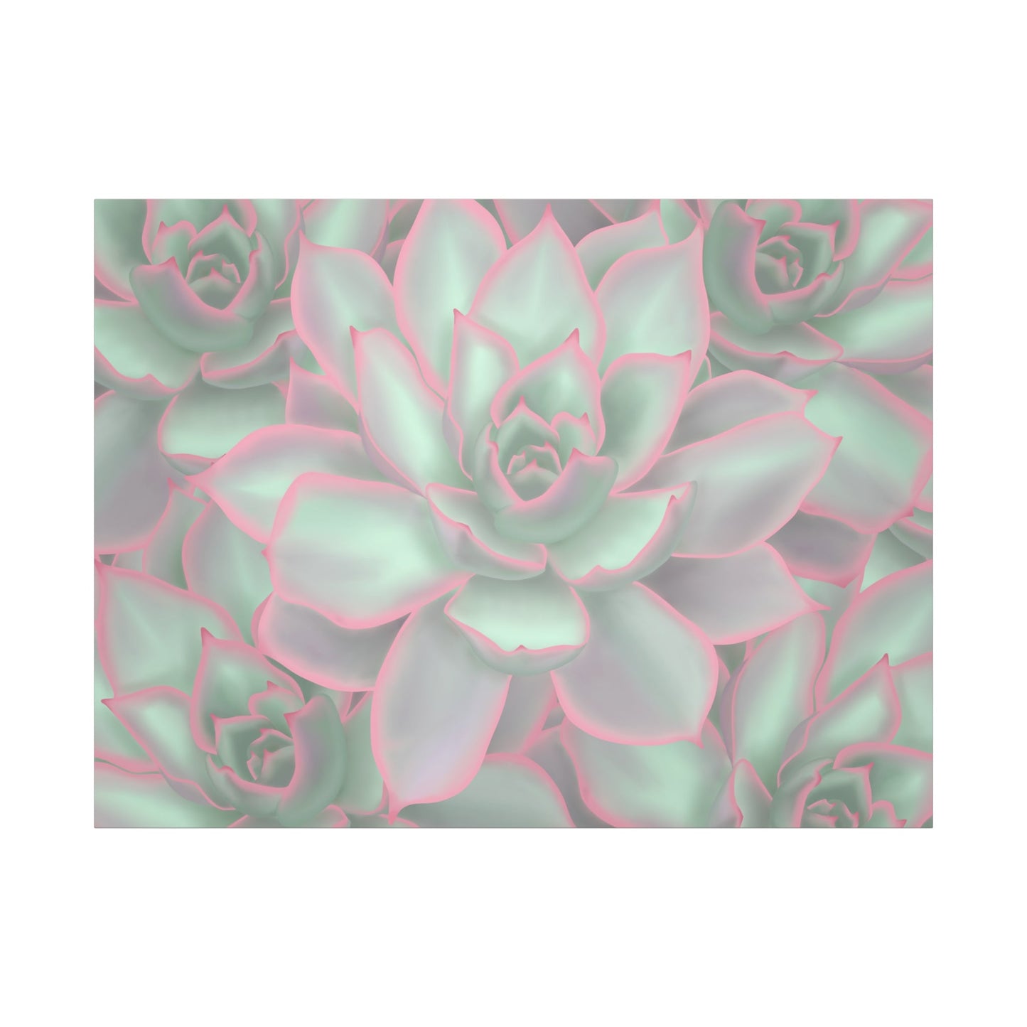 Echeveria Violet Queen Succulent Pattern Canvas Print – Botanical Wall Art