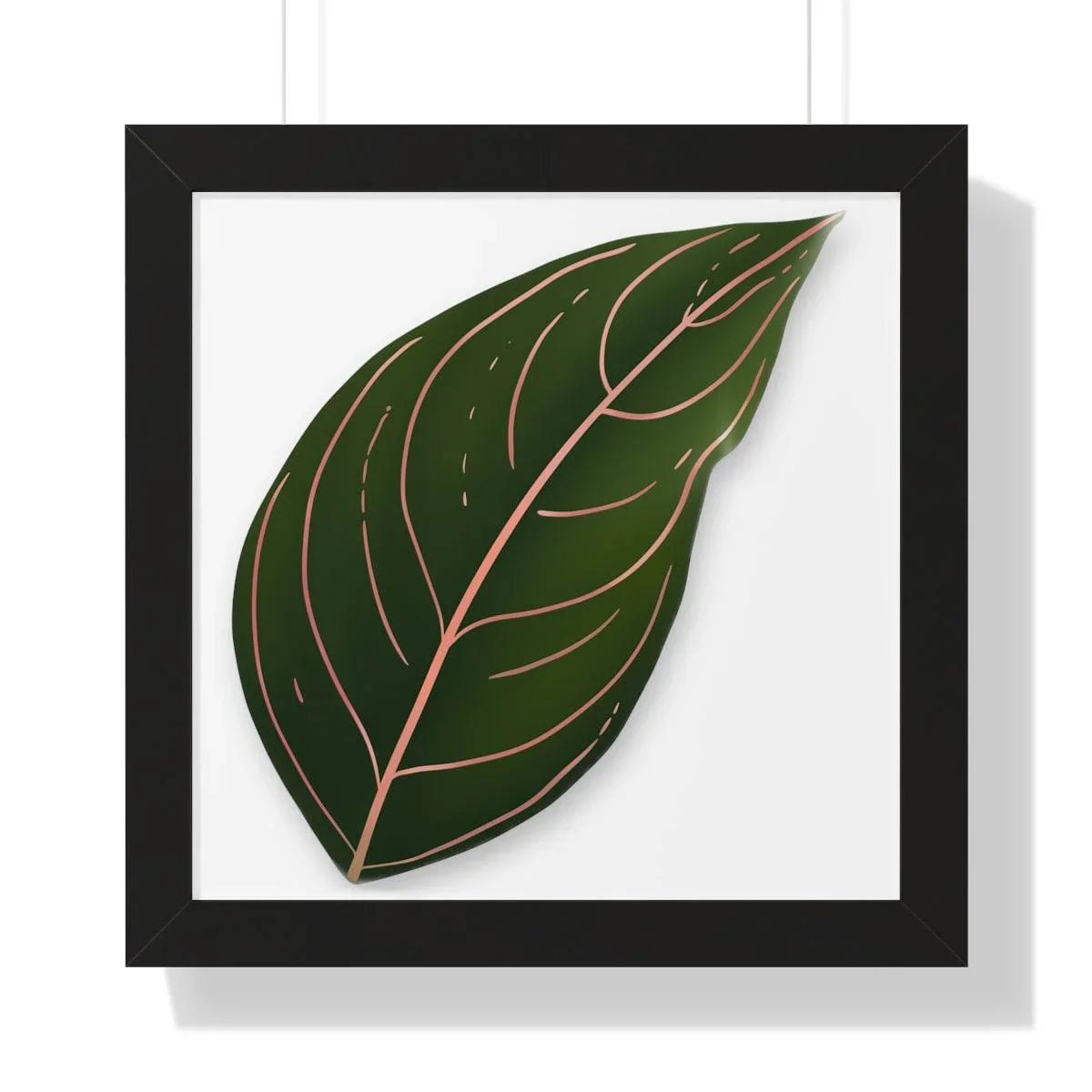 Aglaonema Rotundum Framed Print – Botanical Wall Art