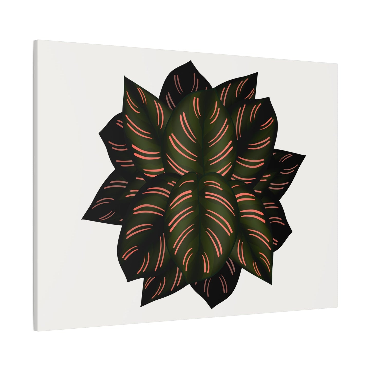 Calathea Pinstripe Canvas Print – Botanical Wall Art