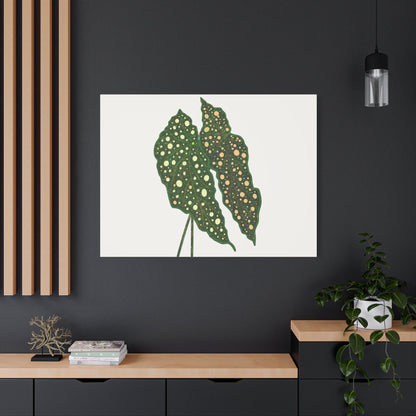 Begonia Maculata Canvas Print – Botanical Wall Art