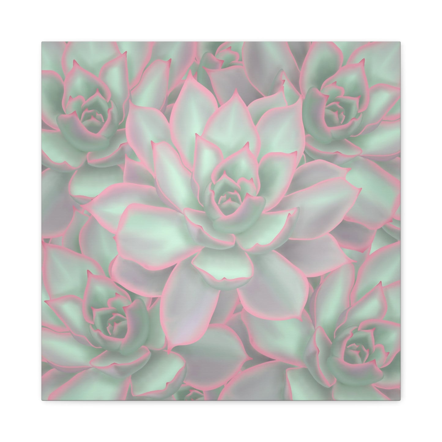 Echeveria Violet Queen Succulent Pattern Canvas Print – Botanical Wall Art