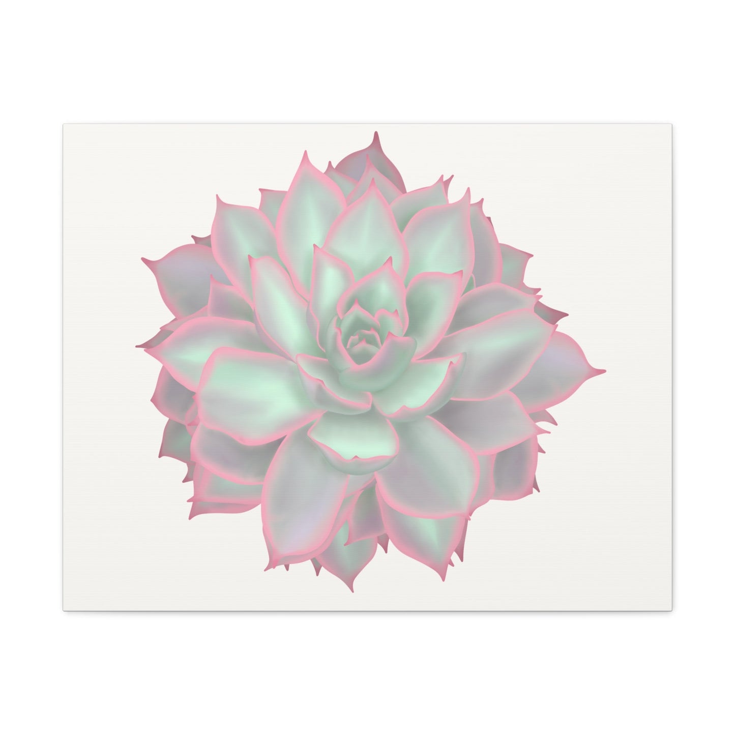 Echeveria Violet Queen Succulent Canvas Print – Botanical Wall Art