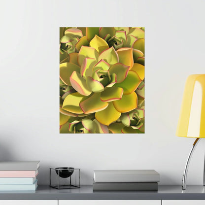 Noble Aeonium Succulent Pattern Botanical Print – Unframed Wall Art