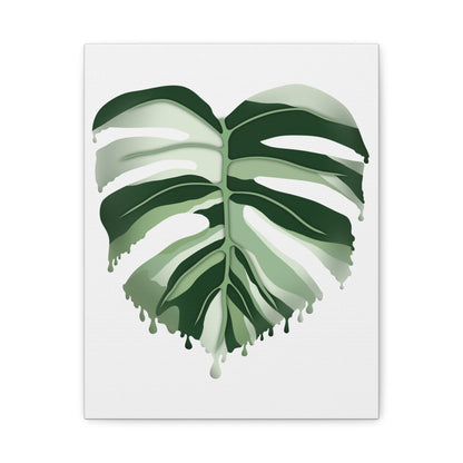 Melting Monstera Albo Canvas Print – Botanical Wall Art