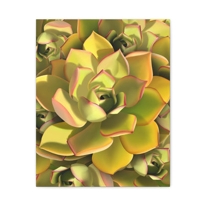 Noble Aeonium Succulent Pattern Canvas Print – Botanical Wall Art