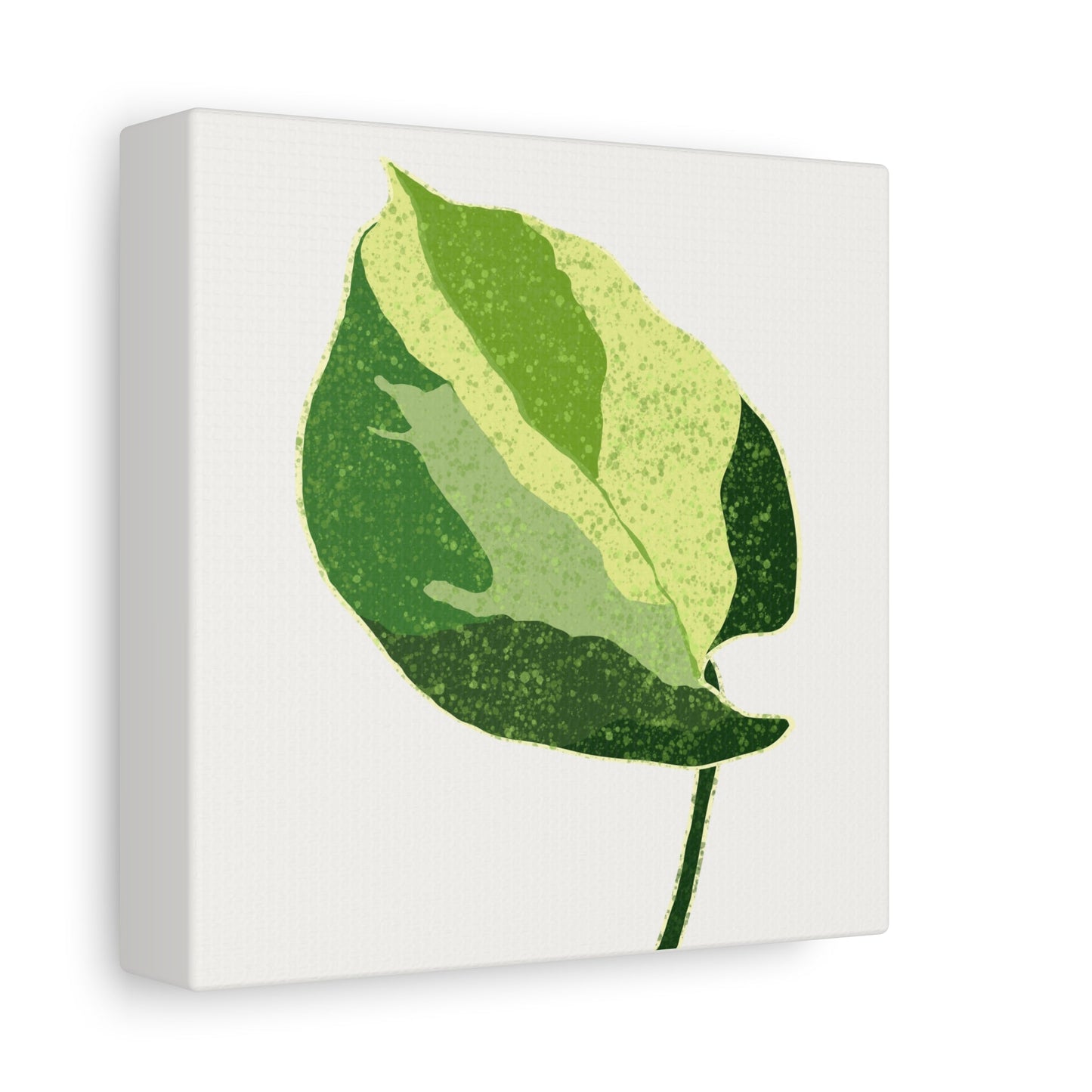 Manjula Pothos Illustrated Canvas Print – Botanical Wall Art
