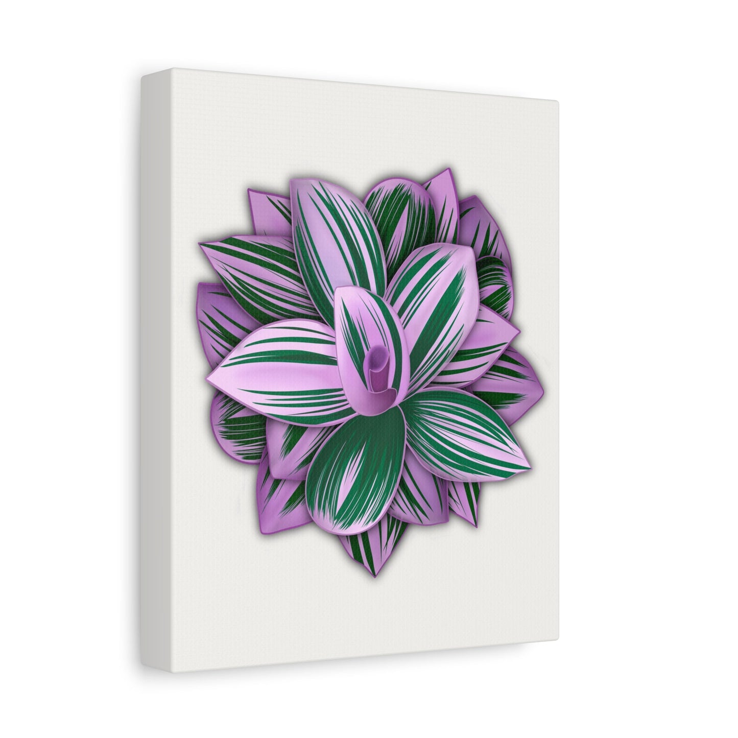 Tradescantia Nanouk Canvas Print – Botanical Wall Art