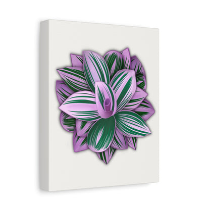 Tradescantia Nanouk Canvas Print – Botanical Wall Art