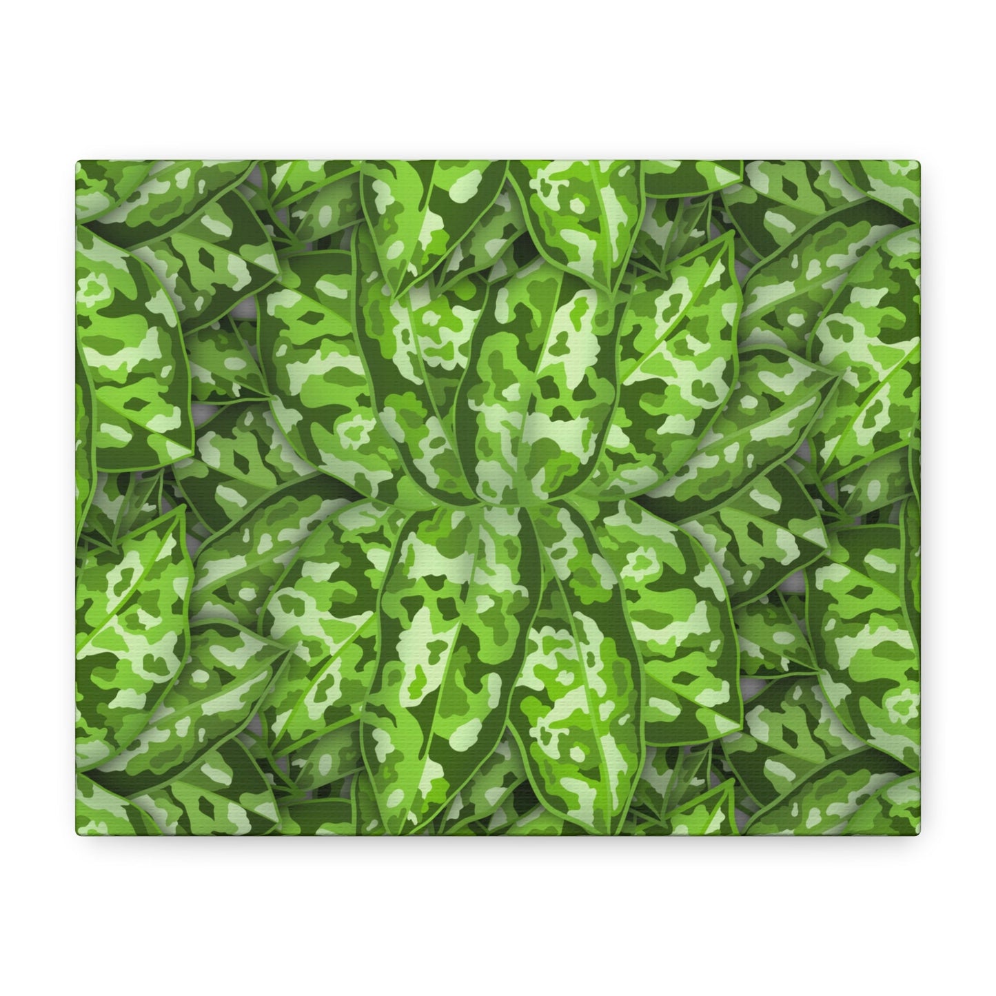 Aglaonema Pictum Canvas Print – Botanical Wall Art