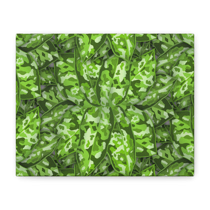 Aglaonema Pictum Canvas Print – Botanical Wall Art