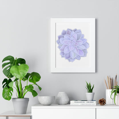 Graptopetalum Murasaki Succulent Framed Print – Botanical Wall Art