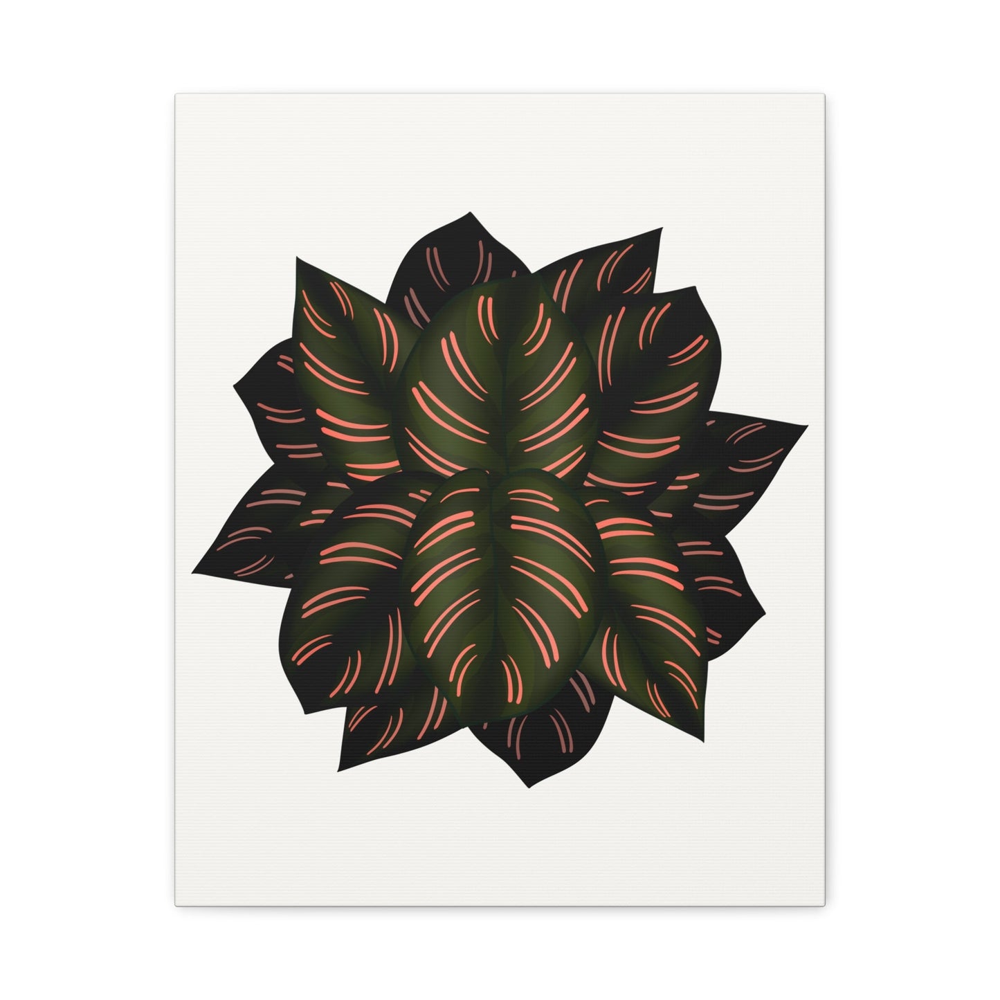 Calathea Pinstripe Canvas Print – Botanical Wall Art