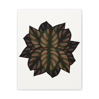 Calathea Pinstripe Canvas Print – Botanical Wall Art