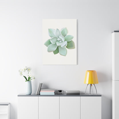 Pachyveria Haagei Succulent Canvas Print – Botanical Wall Art