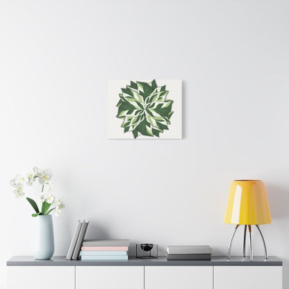Calathea White Fusion Canvas Print – Botanical Wall Art