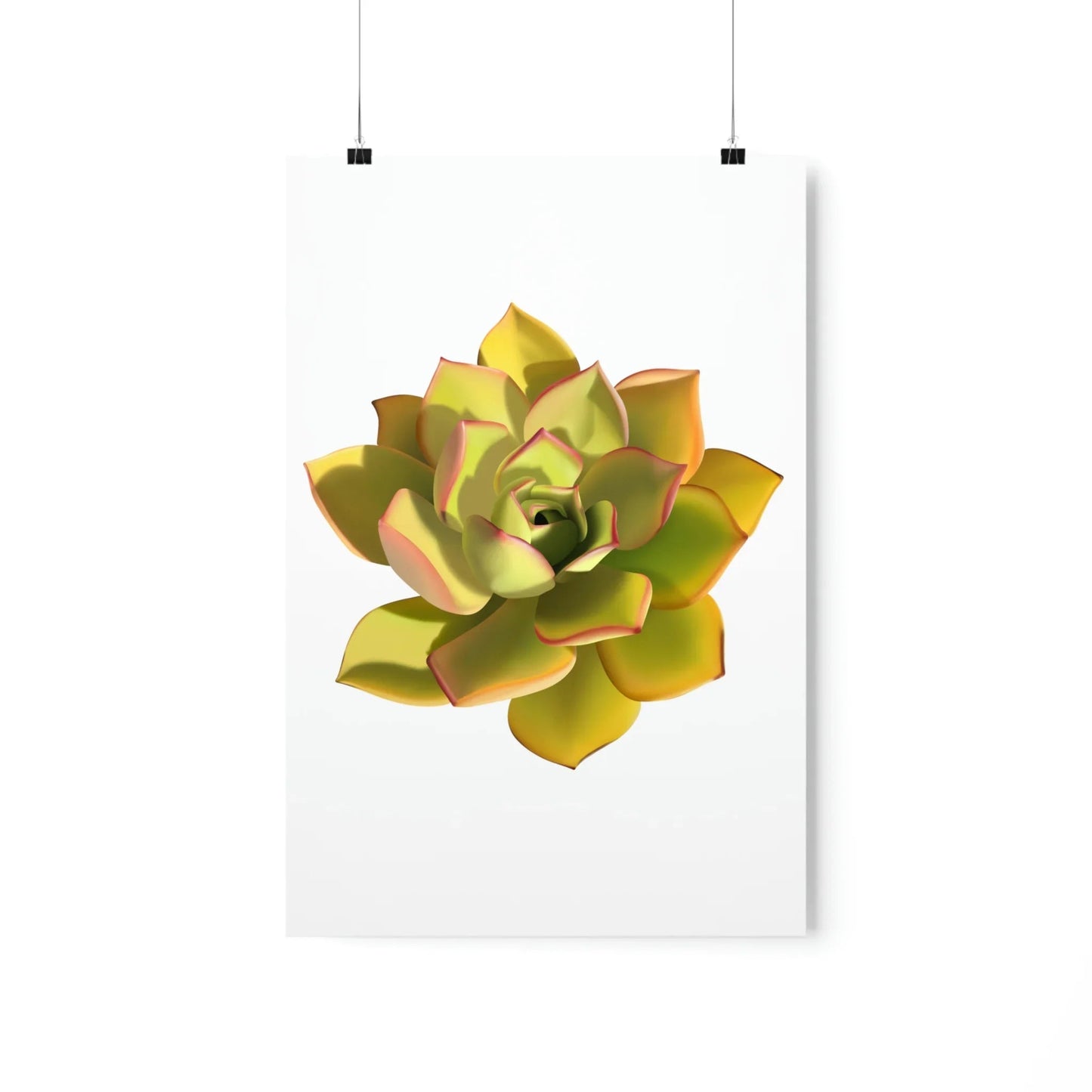 Noble Aeonium Succulent Botanical Print – Unframed Wall Art