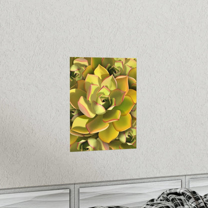 Noble Aeonium Succulent Pattern Botanical Print – Unframed Wall Art