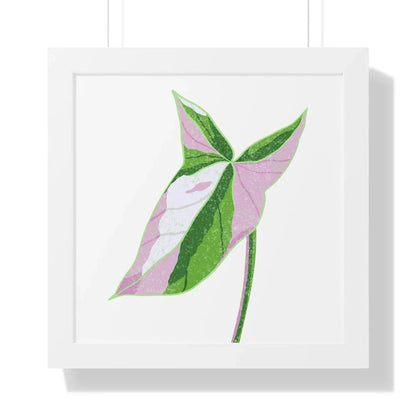 Syngonium Tricolor Framed Print – Botanical Wall Art