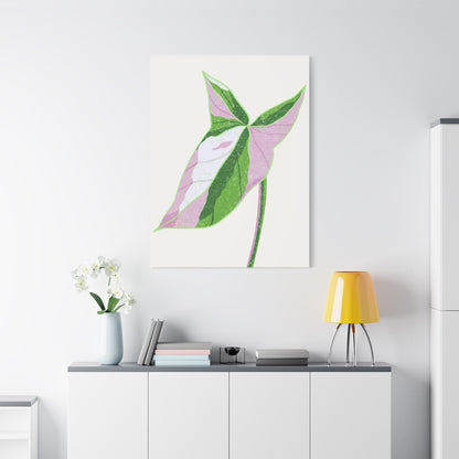 Syngonium Tricolor Canvas Print – Botanical Wall Art
