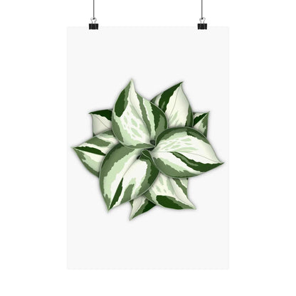 Manjula Pothos Botanical Print – Unframed Wall Art