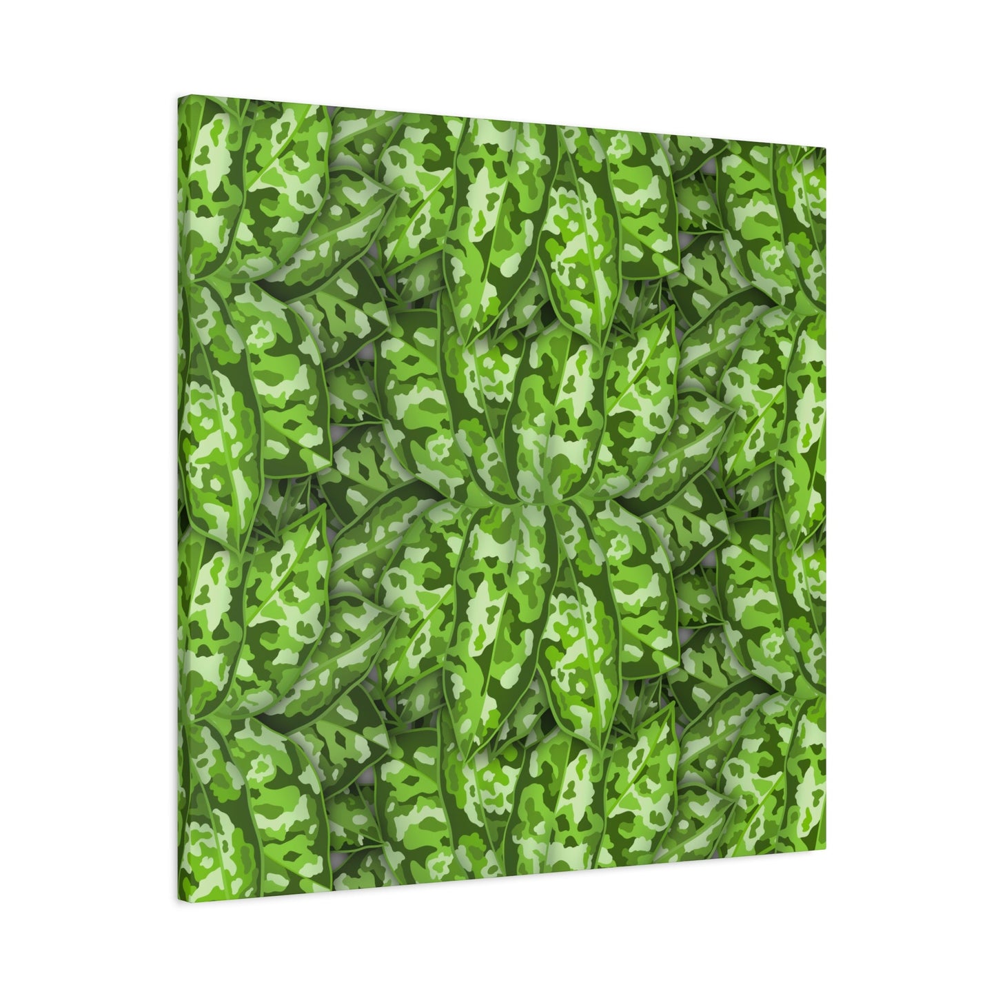 Aglaonema Pictum Canvas Print – Botanical Wall Art
