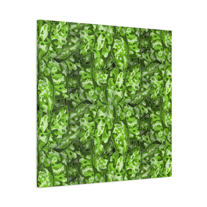 Aglaonema Pictum Canvas Print – Botanical Wall Art
